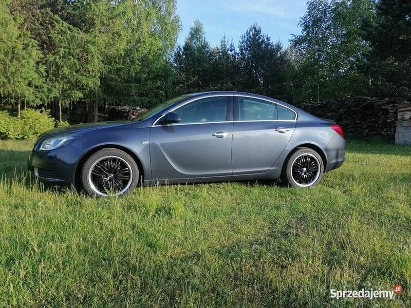 Używany 2009 Opel Insignia Cosmo | 16 900 zł (Drogi) - Obraz 1/4