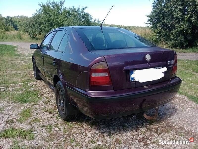 Obraz 2/4