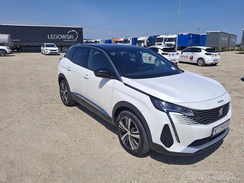 Używany Peugeot 3008 2023 Biały SUV