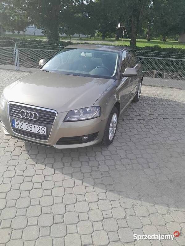 Obraz 2/3