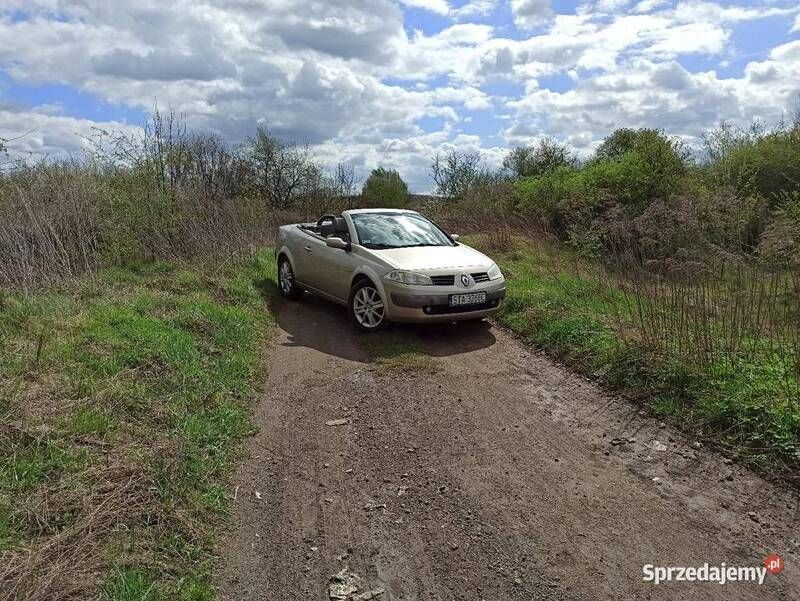 Złoty Używany 2004 Renault Mégane Cabriolet Kabriolet | 5500 zł - Obraz 1/4