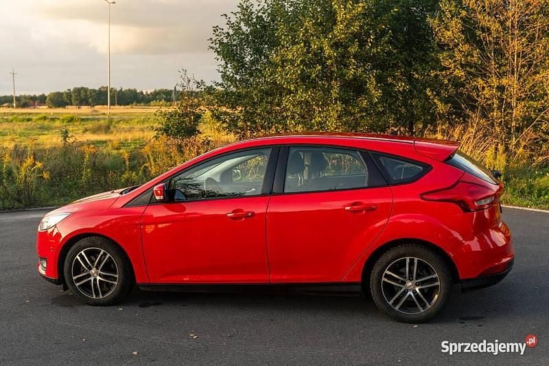 Używany Ford Focus 150 KM (110 kW) 2015