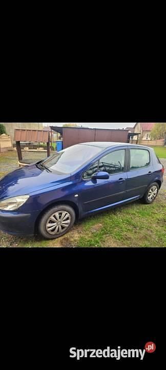 Niebieski Używany 2002 Peugeot 307 Hatchback | 3600 zł (Uczciwa cena) - Obraz 1/4