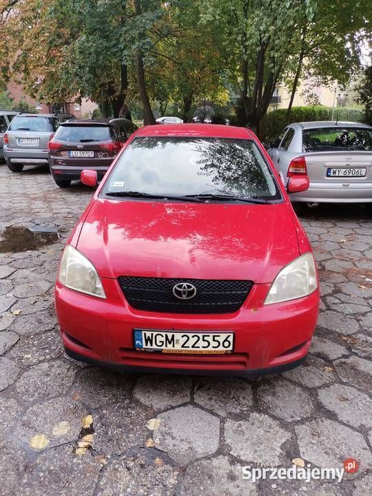 Obraz 2/3