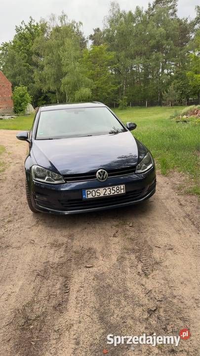 Granatowy Używany 2016 VW Golf VII Hatchback | 38 000 zł (Uczciwa cena) - Obraz 1/4