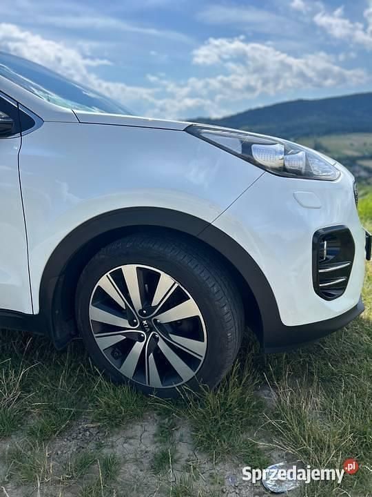 Biały Używany 2016 Kia Sportage 2 SUV | 59 000 zł (Dość drogi) - Obraz 1/4