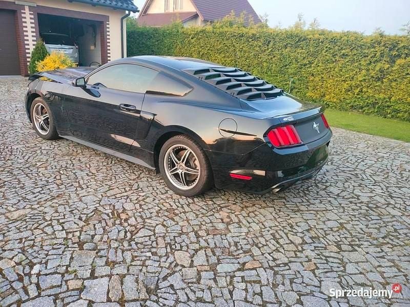 Używany 2015 Ford Mustang | 50 500 zł (Uczciwa cena) - Obraz 1/4