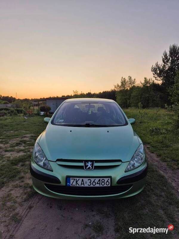 Używany 2004 Peugeot 307 | 4500 zł (Dość drogi) - Obraz 1/4