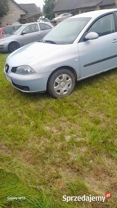 Używany Seat Ibiza 2002 Hatchback