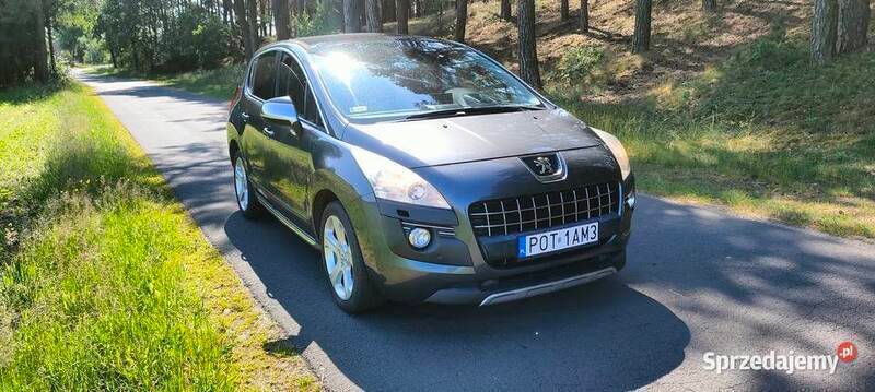 Używany 2010 Peugeot 3008 | 17 000 zł (Dość drogi) - Obraz 1/4