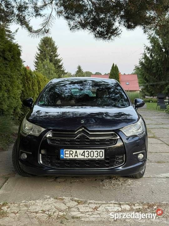 Obraz 4/4