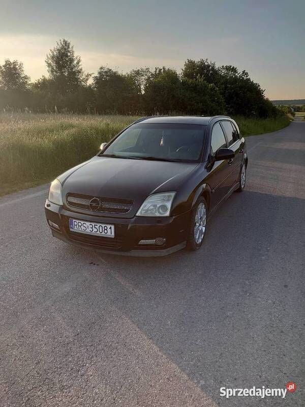 Używany 2003 Opel Signum Kombi | 5800 zł - Obraz 1/4