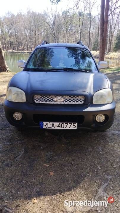 Obraz 4