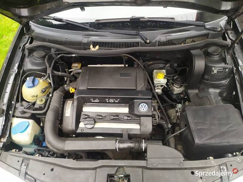 Używany 2001 VW Golf IV | 5000 zł (Uczciwa cena) - Obraz 1/4
