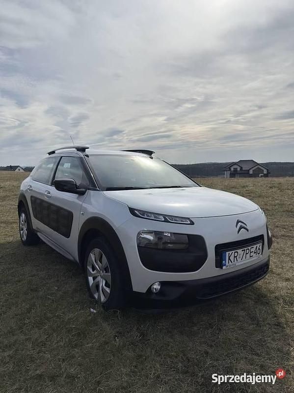 Uywany Citron C4 Cactus (2016) w Trzebinia - 21 000 z | AutoUncle