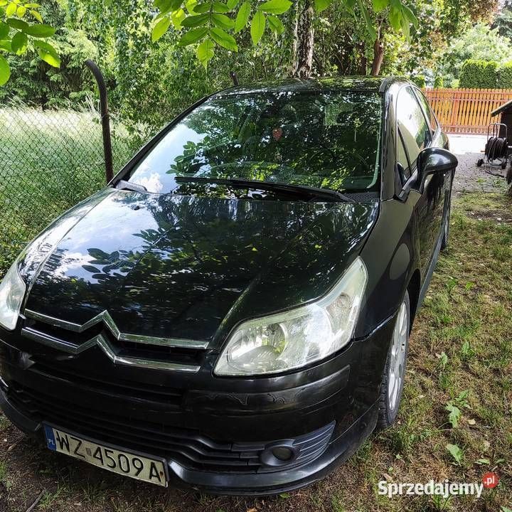 Obraz 2/4