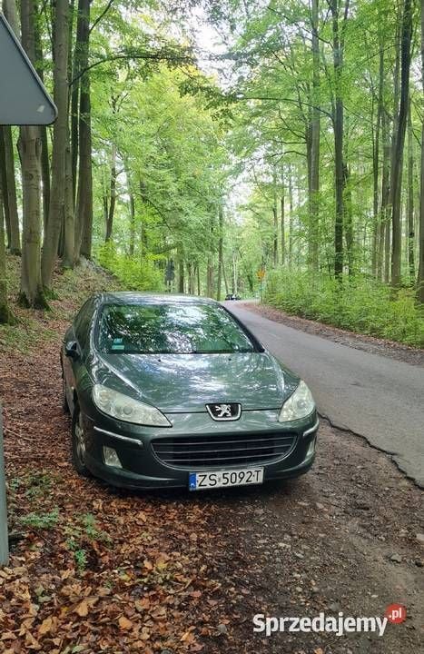 Używany Peugeot 407 136 KM (100 kW) 2007