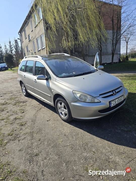 Używany 2004 Peugeot 307 | 5000 zł (Uczciwa cena) - Obraz 1/4