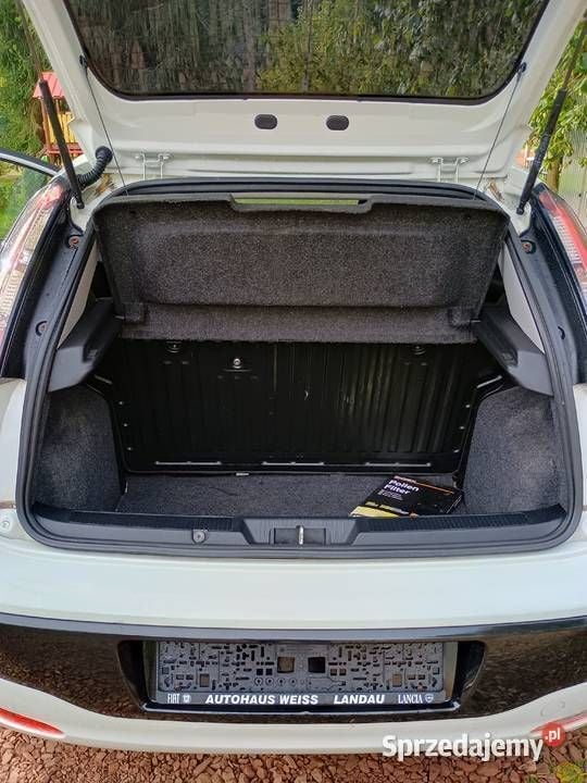 Biały Używany 2010 Fiat Punto Evo Hatchback | 8000 zł (Super Cena) - Obraz 1/4