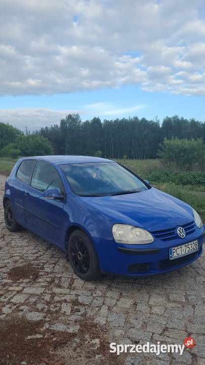 Używany 2004 VW Golf IV | 5500 zł (Dobra cena) - Obraz 1/4