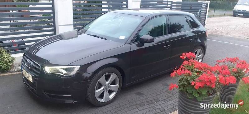 Używany 2014 Audi A3 | 47 000 zł (Dość drogi) - Obraz 1/4