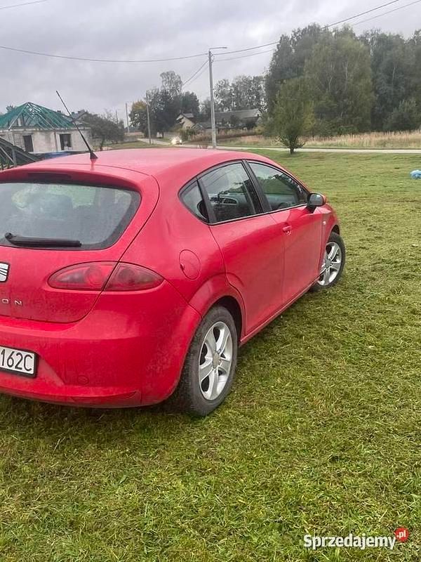 Używany 2006 Seat Leon | 6500 zł (Dobra cena) - Obraz 1/2