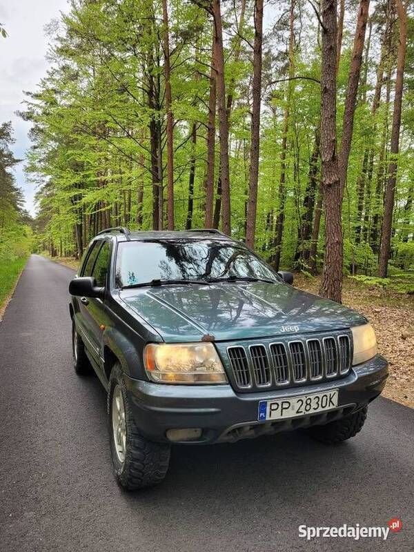 Zielony Używany 2002 Jeep Grand Cherokee SUV | 14 600 zł - Obraz 1/4