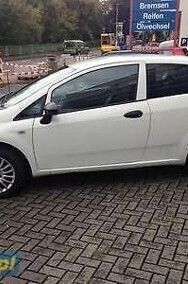 Używany Fiat Punto 77 KM (56 kW) 2012 Hatchback