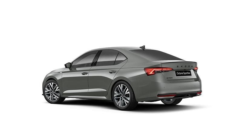 Szary steel niemetalizowany Nowe 2025 Skoda Octavia SportLine | 168 600 zł (Dość drogi) - Obraz 1/1