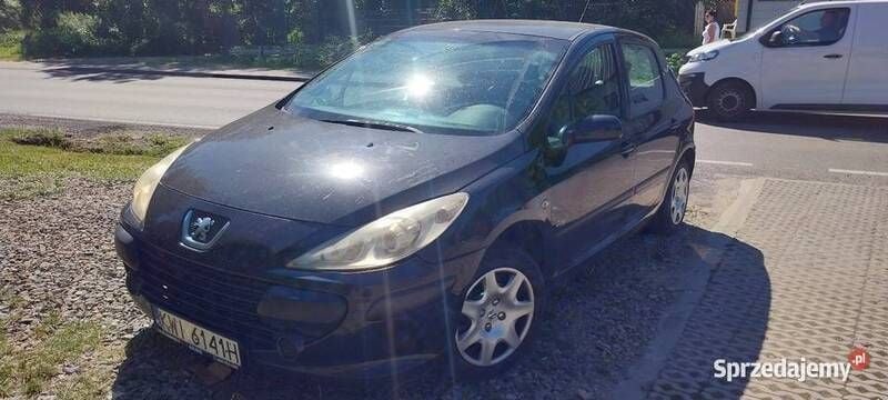 Używany 2007 Peugeot 307 | 3300 zł (Dobra cena) - Obraz 1/4