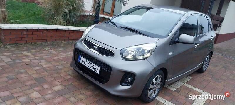 Używany 2016 Kia Picanto Hatchback | 30 900 zł - Obraz 1/4