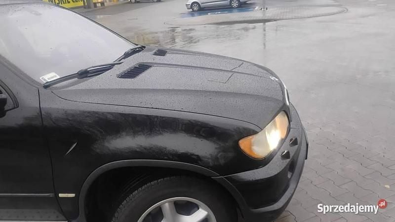 Używany 2004 BMW X5 SUV | 13 500 zł (Dobra cena) - Obraz 1/4
