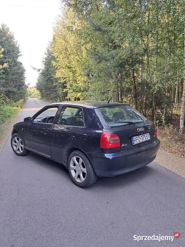 Granatowy Używany 1999 Audi A3 | 2900 zł (Dobra cena) - Obraz 1/3