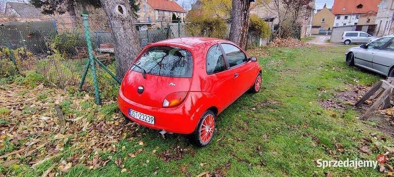 Używany 2006 Ford Ka Hatchback | 4000 zł - Obraz 1/4