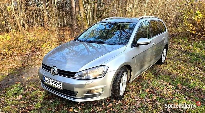 Używany VW Golf VII 2015 Beżowy Kombi