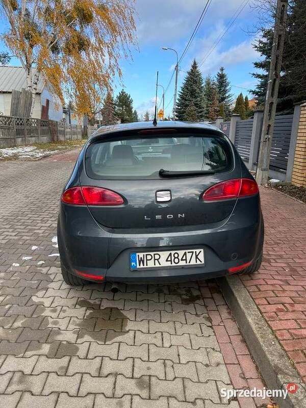 Obraz 2/4