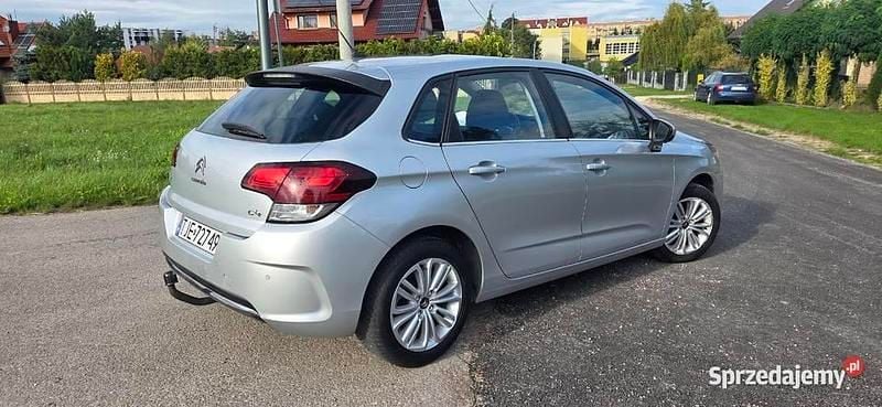 Obraz 4/4