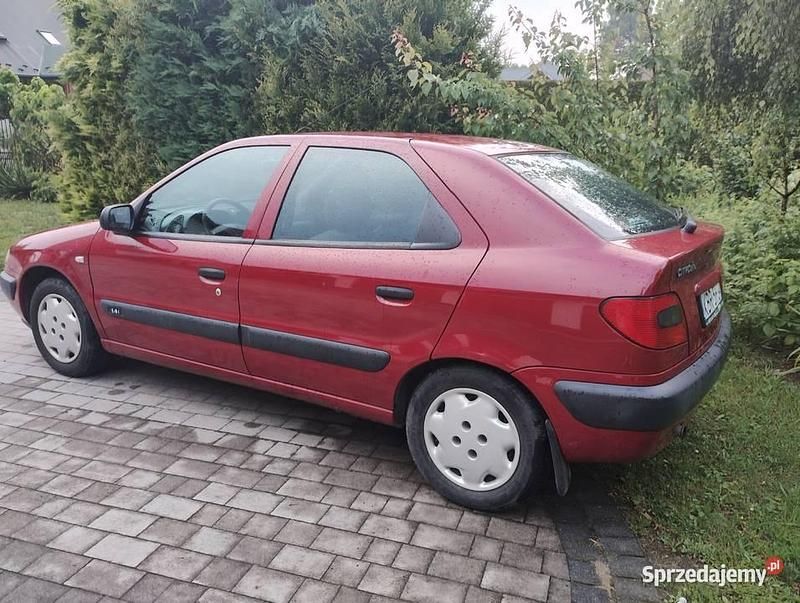 Bordowy Używany 1999 Citroën Xsara Hatchback | 6500 zł - Obraz 1/4