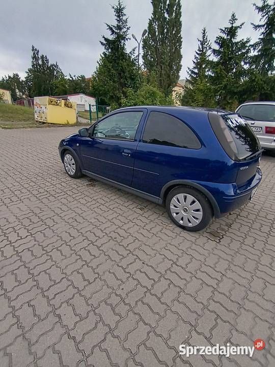 Obraz 2/4