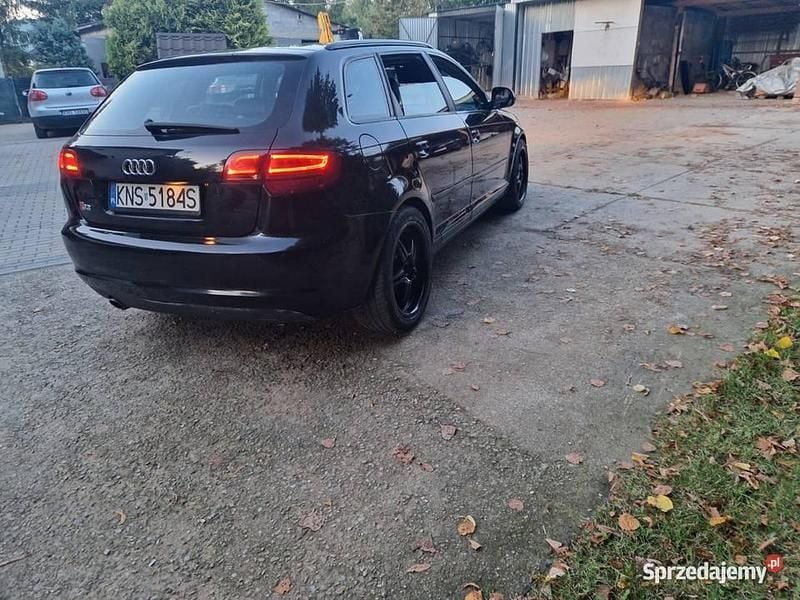 Obraz 3/4