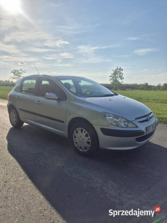 Srebrny Używany 2005 Peugeot 307 Hatchback | 6900 zł (Uczciwa cena) - Obraz 1/4