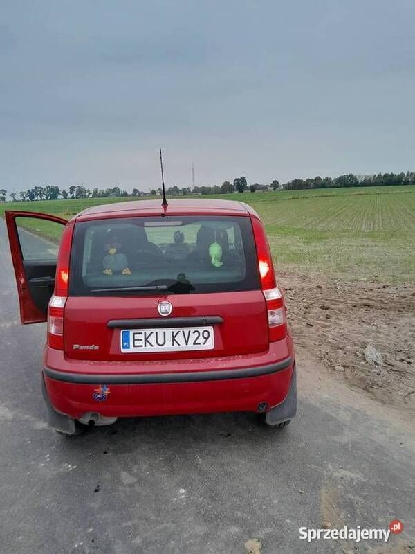 Używany 2008 Fiat Panda Hatchback | 10 000 zł (Drogi) - Obraz 1/4