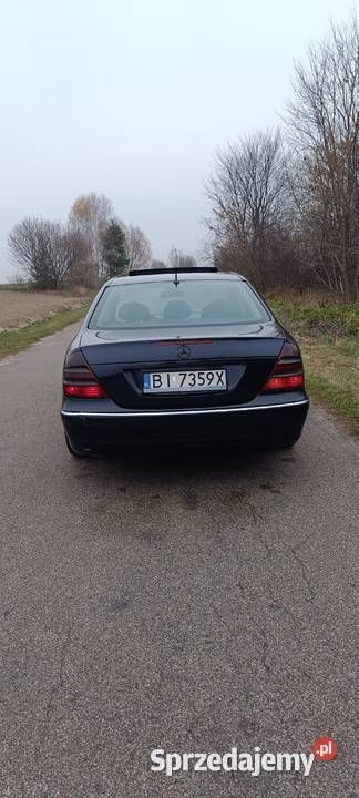 Obraz 4/4