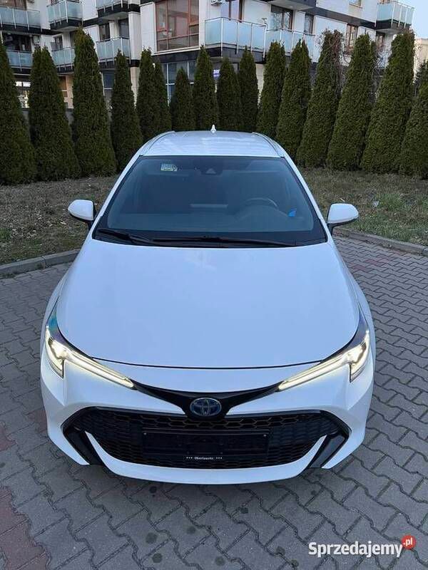 Obraz 2/4