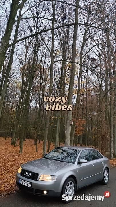 Beżowy Używany 2003 Audi A4 Sedan/Limuzyna | 5500 zł (Dobra cena) - Obraz 1/3