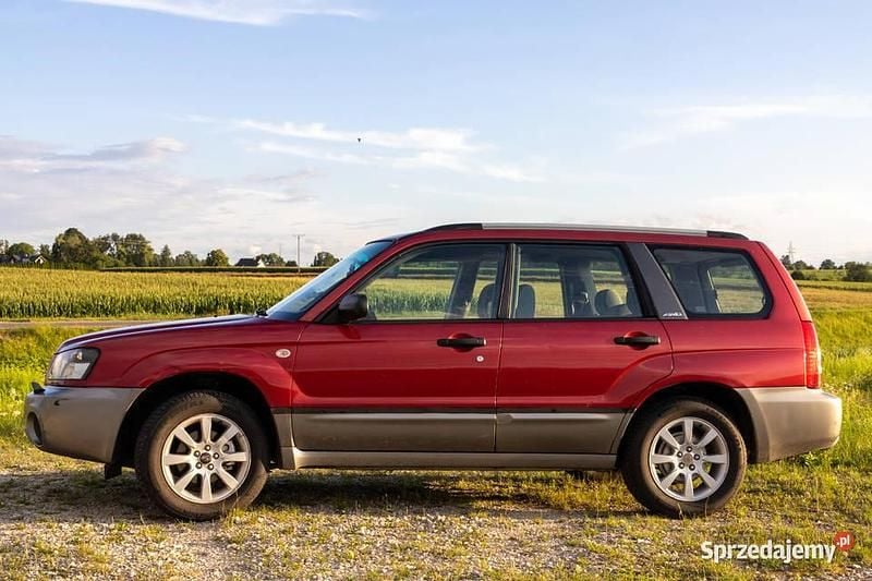 Używany 2003 Subaru Forester SUV | 18 700 zł (Uczciwa cena) - Obraz 1/4