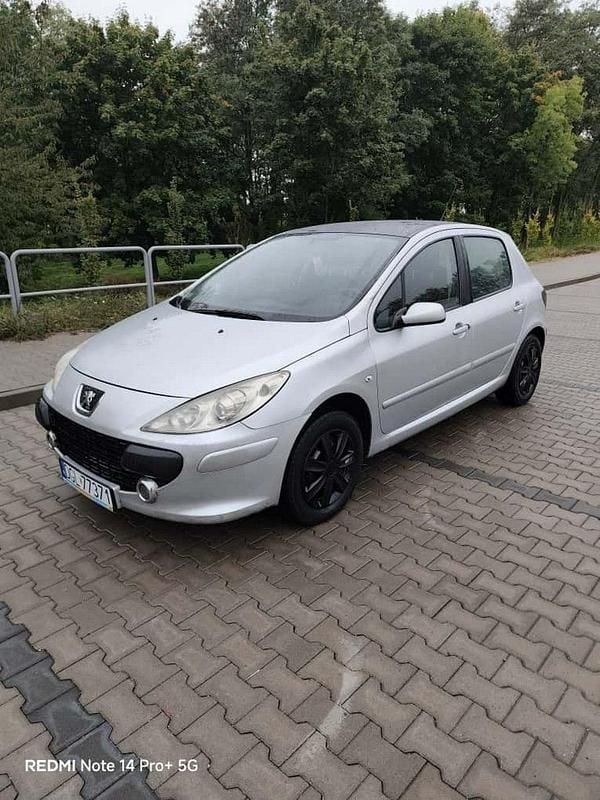 Srebrny Używany 2005 Peugeot 307 Hatchback | 3300 zł (Uczciwa cena) - Obraz 1/4