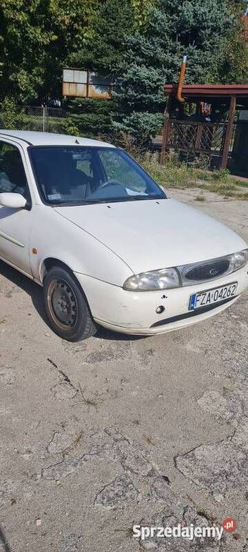 Obraz 2/4