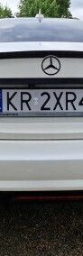 Obraz 4/4
