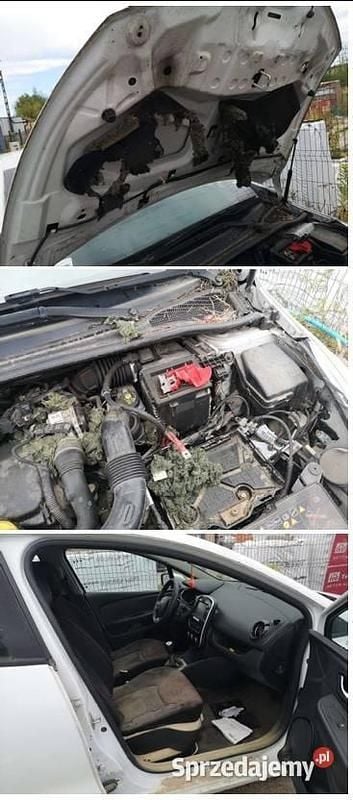 Używany Renault Clio IV 2017